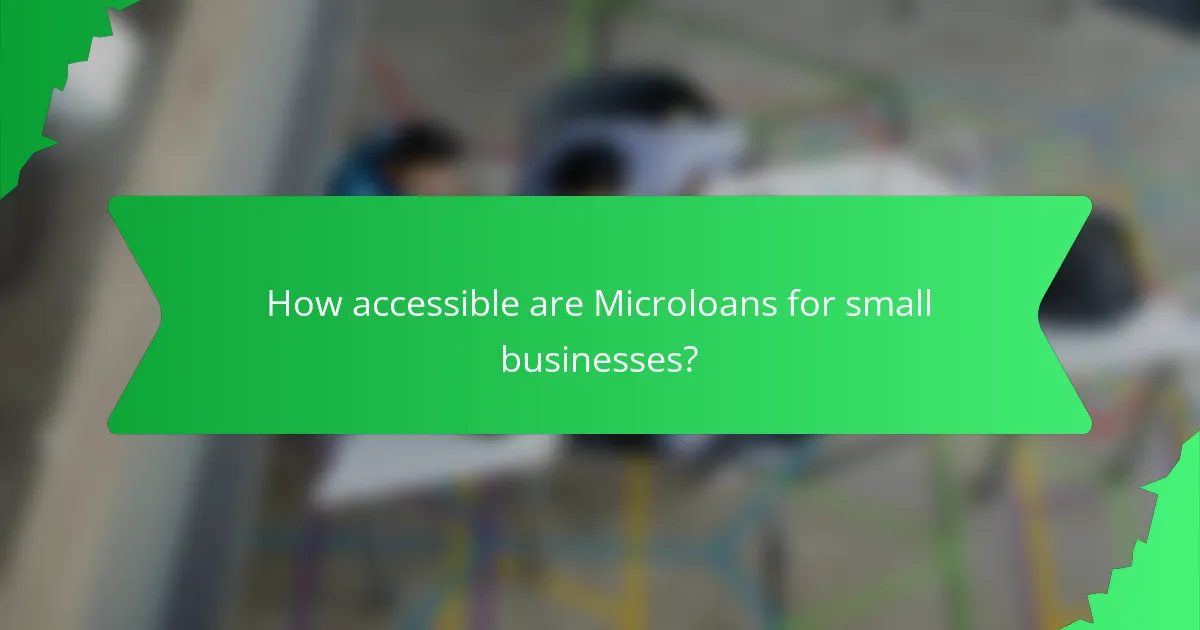 How accessible are Microloans for small businesses?