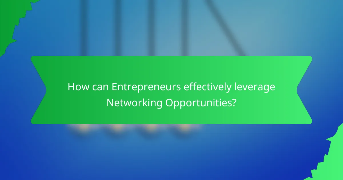 How can Entrepreneurs effectively leverage Networking Opportunities?