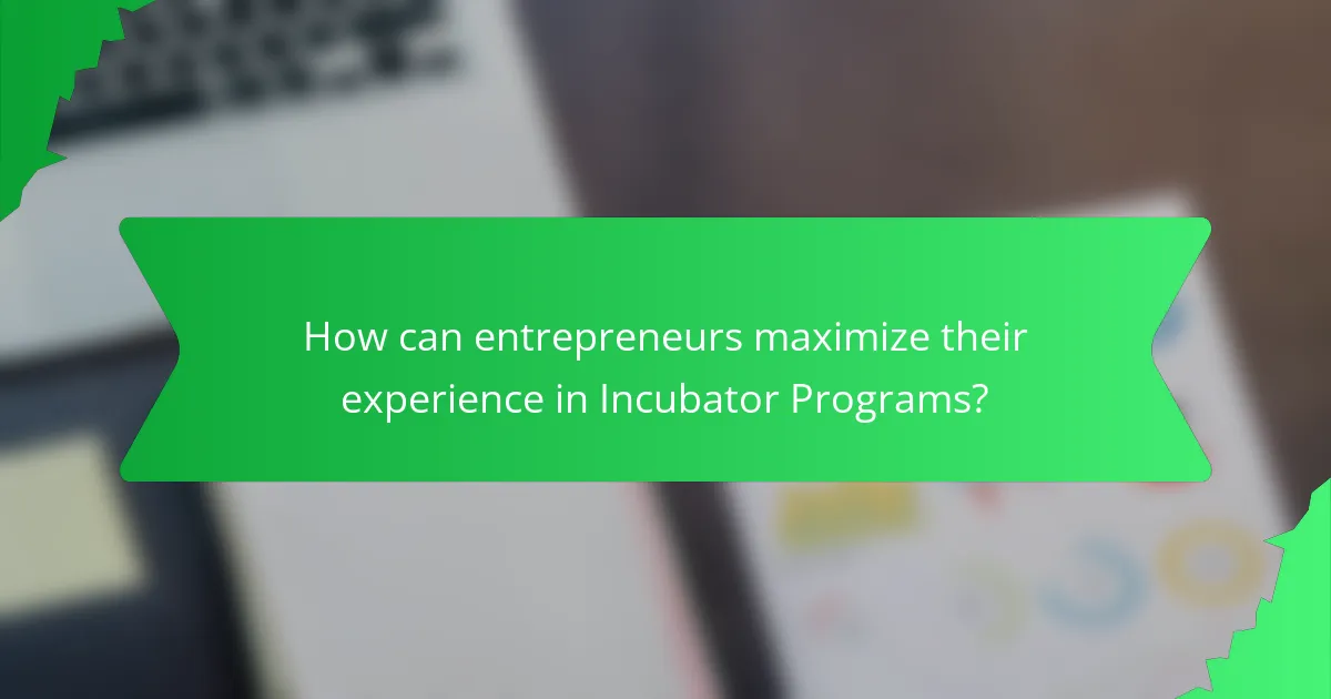 How can entrepreneurs maximize their experience in Incubator Programs?