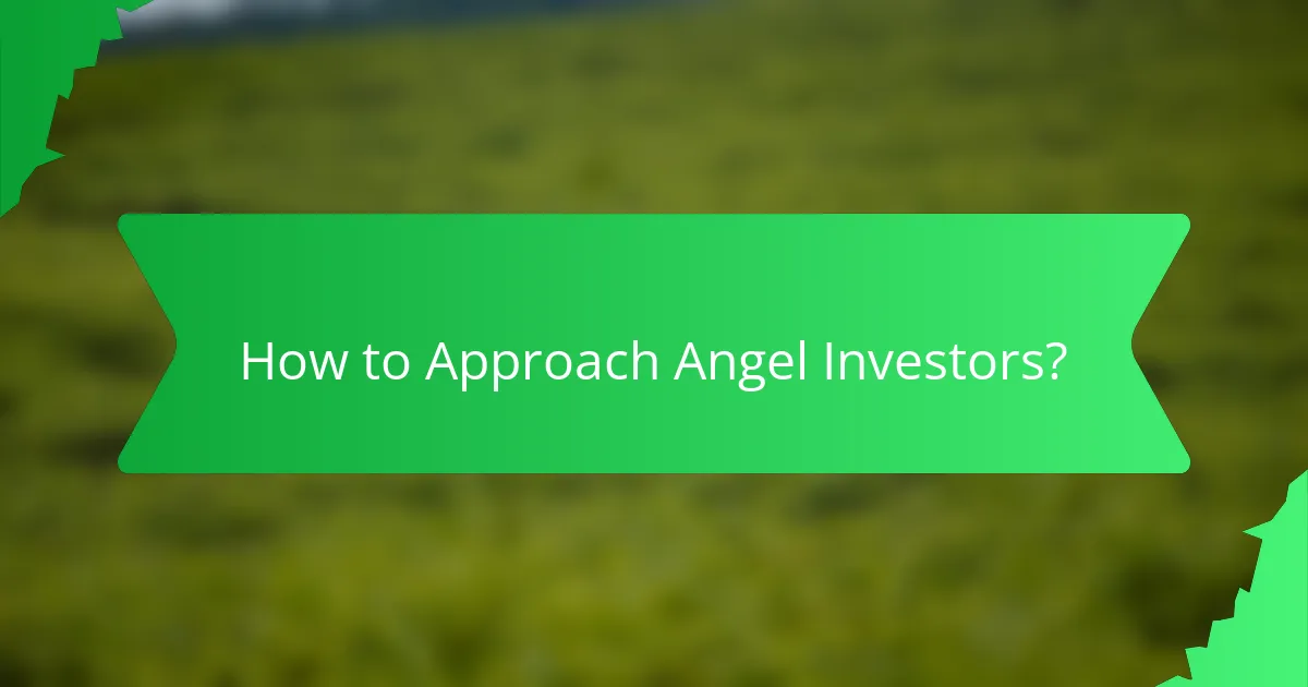 How to Approach Angel Investors?