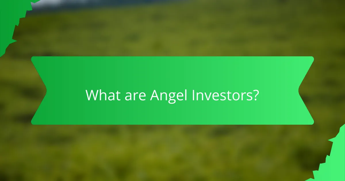 What are Angel Investors?