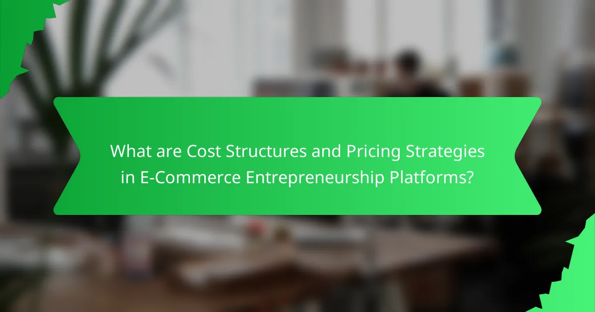 What are Cost Structures and Pricing Strategies in E-Commerce Entrepreneurship Platforms?