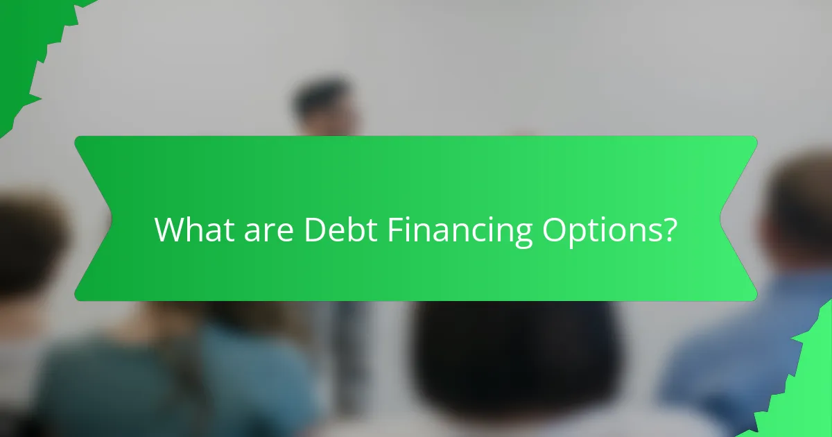 What are Debt Financing Options?