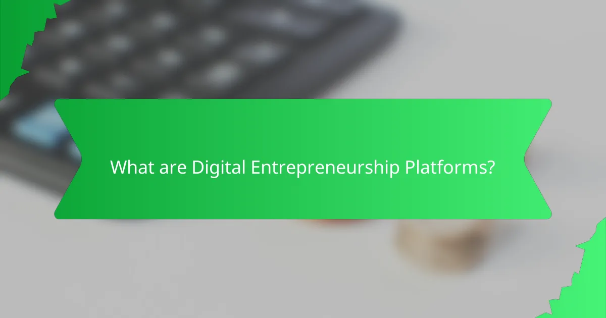 What are Digital Entrepreneurship Platforms?