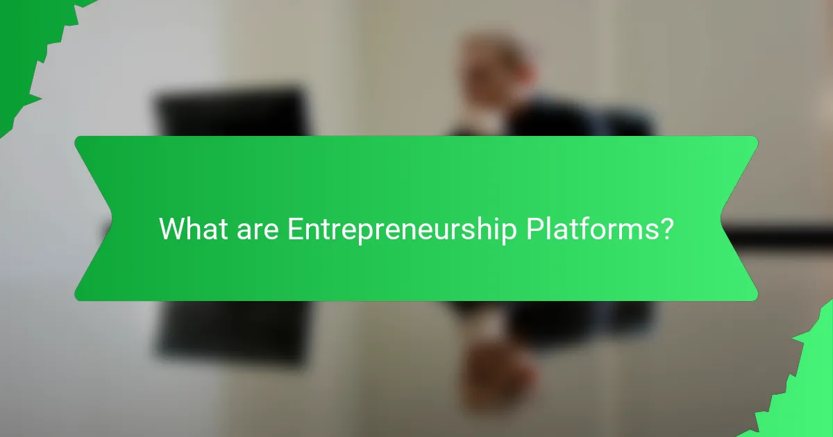 What are Entrepreneurship Platforms?