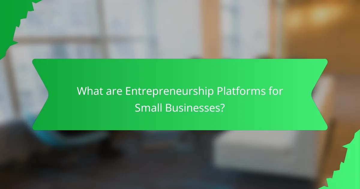What are Entrepreneurship Platforms for Small Businesses?