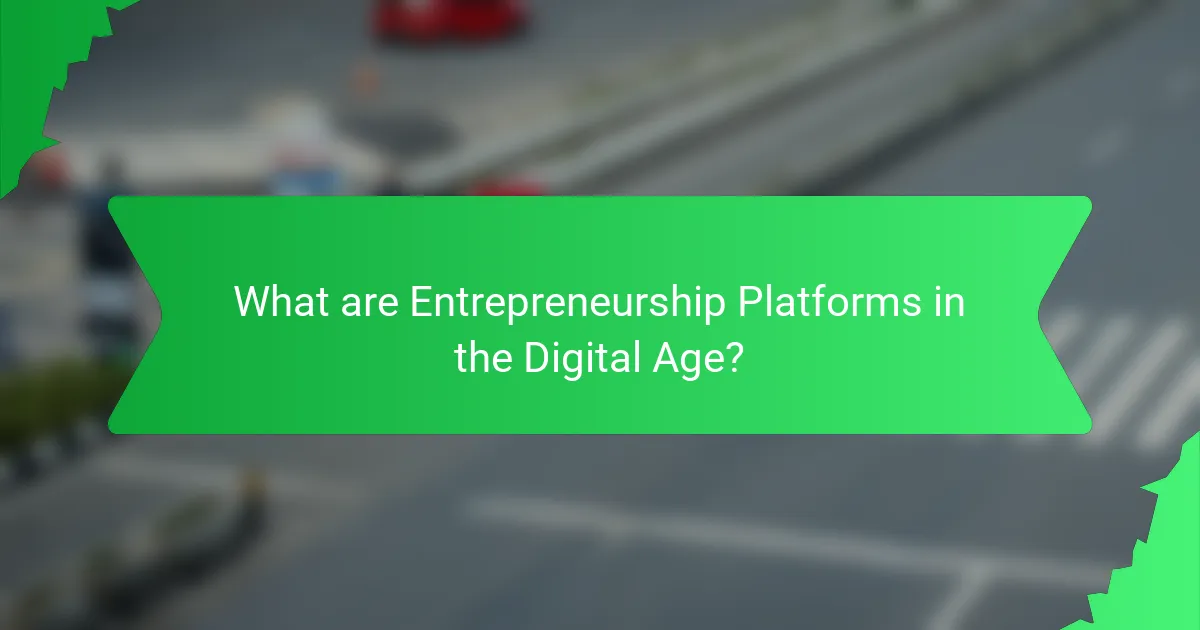 What are Entrepreneurship Platforms in the Digital Age?