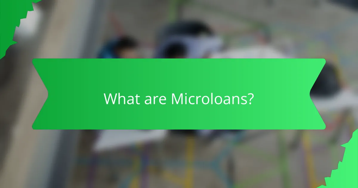 What are Microloans?