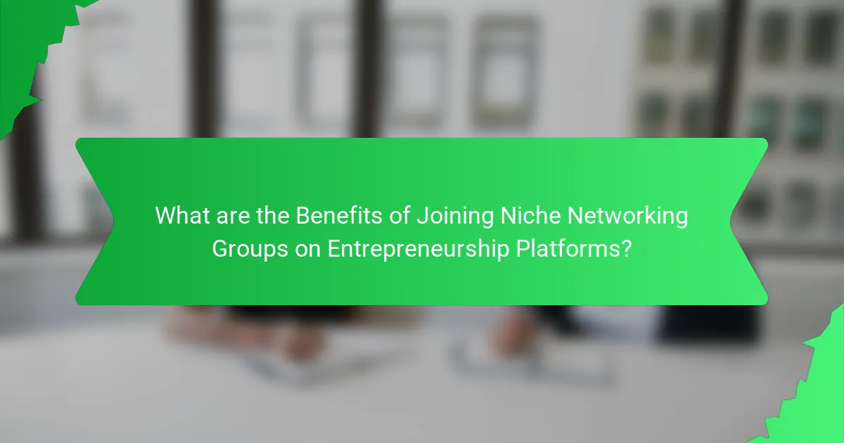 What are the Benefits of Joining Niche Networking Groups on Entrepreneurship Platforms?