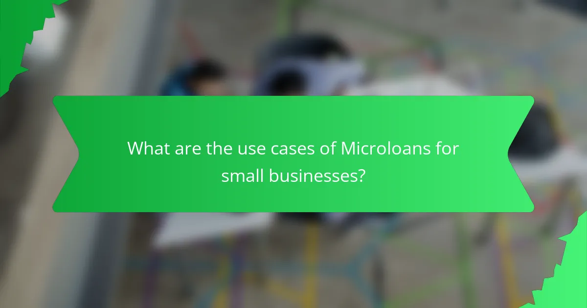 What are the use cases of Microloans for small businesses?