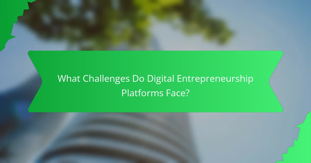 What Challenges Do Digital Entrepreneurship Platforms Face?