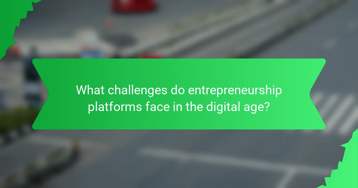 What challenges do entrepreneurship platforms face in the digital age?