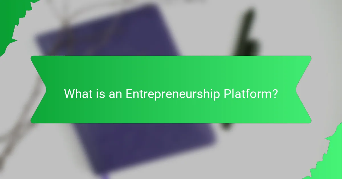 What is an Entrepreneurship Platform?