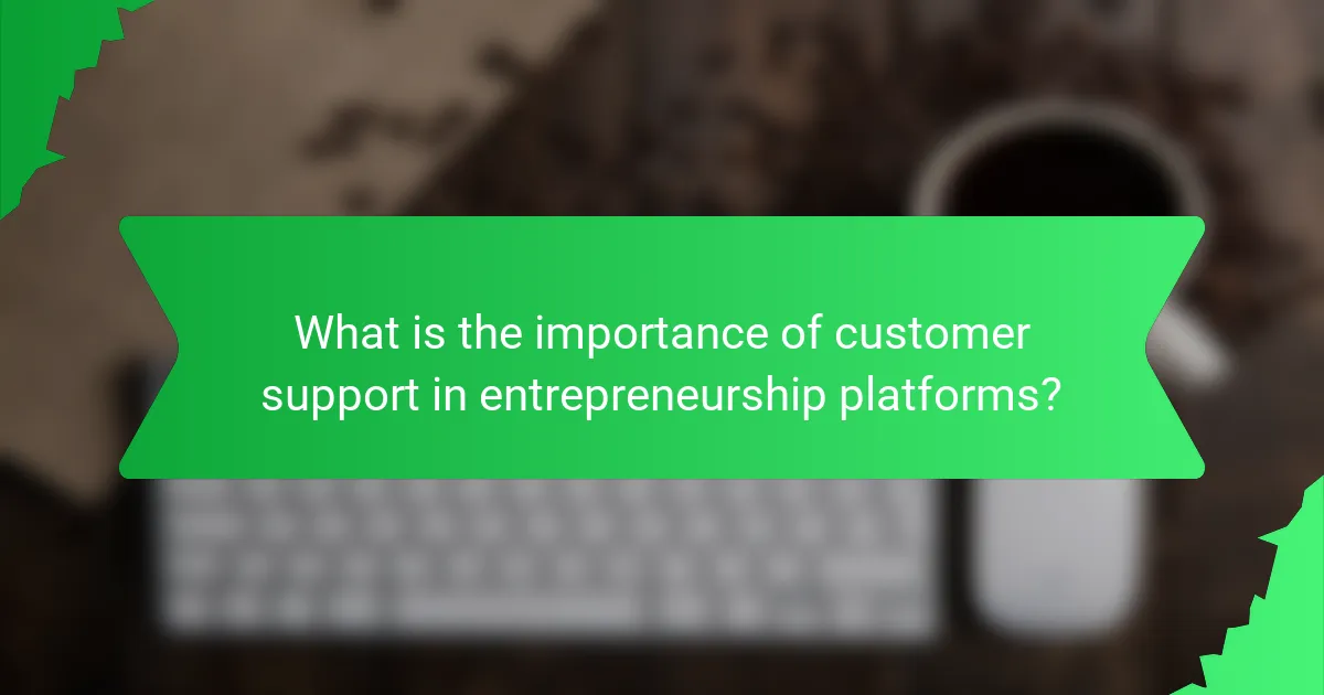 What is the importance of customer support in entrepreneurship platforms?