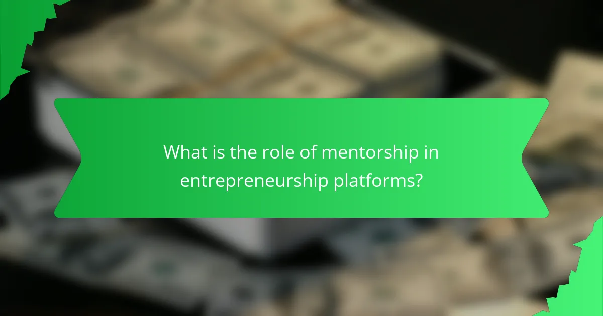 What is the role of mentorship in entrepreneurship platforms?