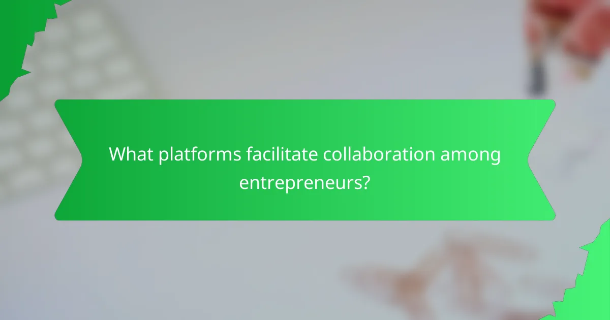 What platforms facilitate collaboration among entrepreneurs?