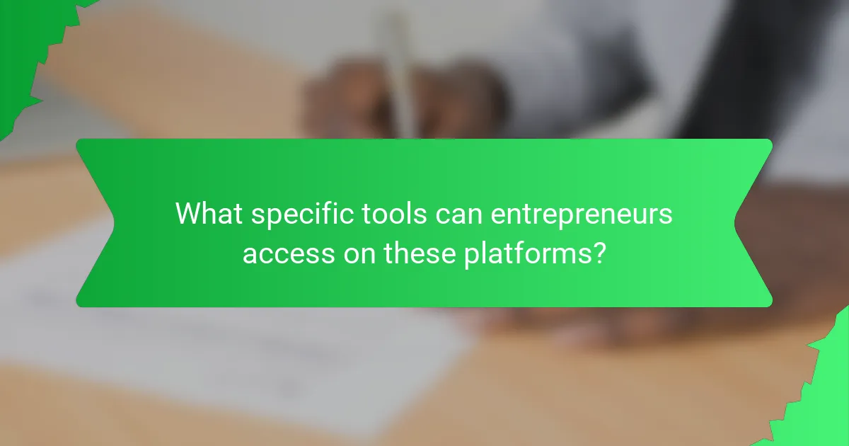 What specific tools can entrepreneurs access on these platforms?