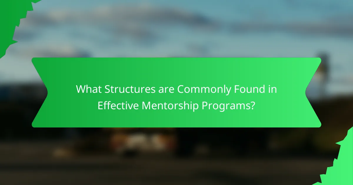 What Structures are Commonly Found in Effective Mentorship Programs?